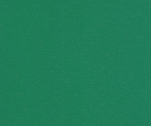 羽毛球?qū)I(yè)型柳葉紋